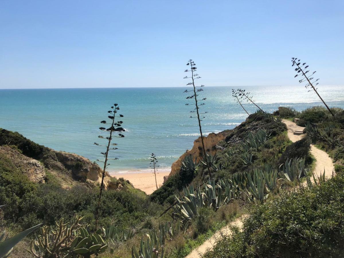 T3 Holiday Cottage Near The Beach | C225 포르체스 외부 사진